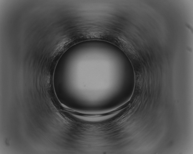 X0000091900548200709191239