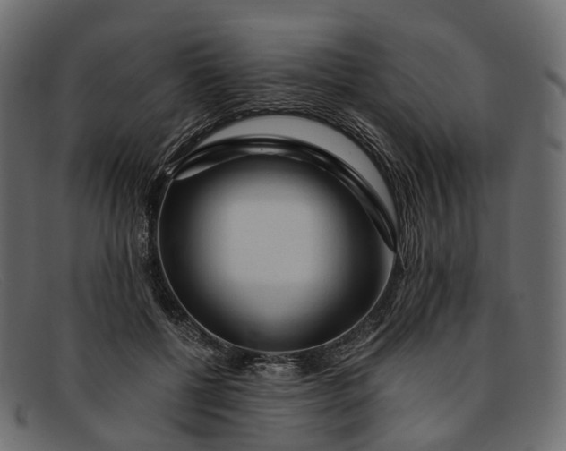 X0000091900552200709191239