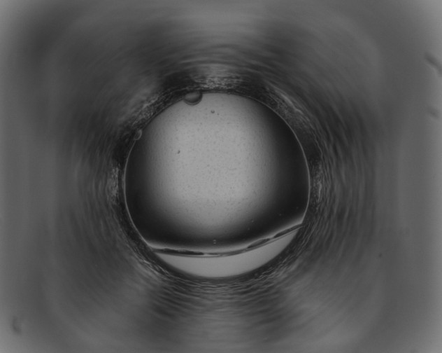 X0000091900554200709191239