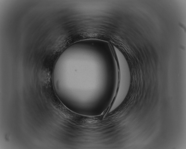 X0000091900555200709191239