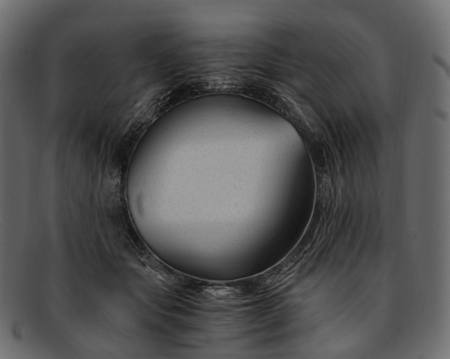 X0000091900557200709191239