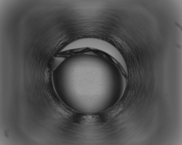 X0000091900558200709191239