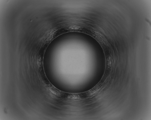 X0000091900559200709191239