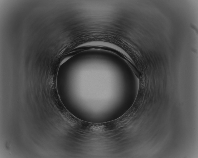 X0000091900560200709191240