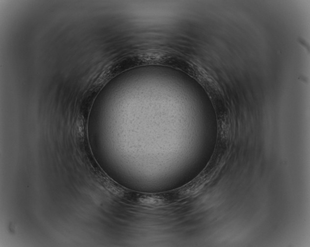 X0000091900561200709191240