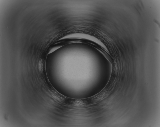 X0000091900562200709191240