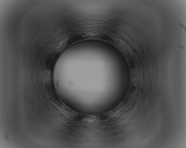 X0000091900563200709191240