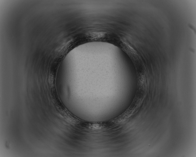 X0000091900565200709191240