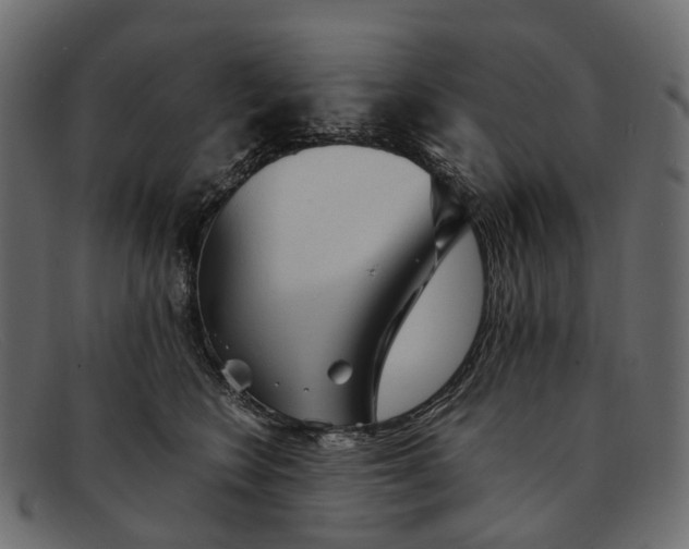 X0000091900566200709191240