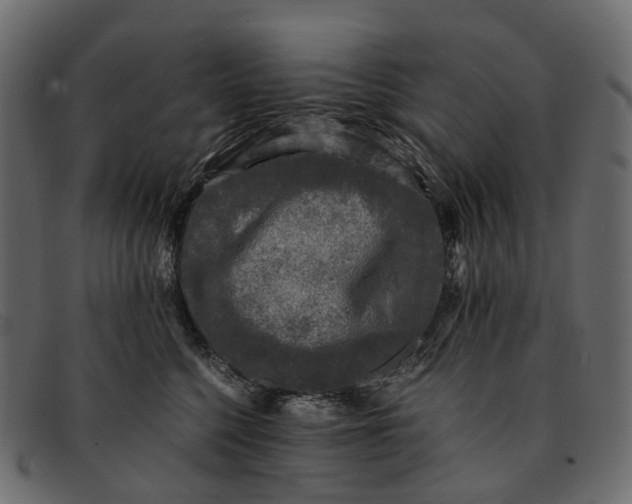 X0000091900568200709191240