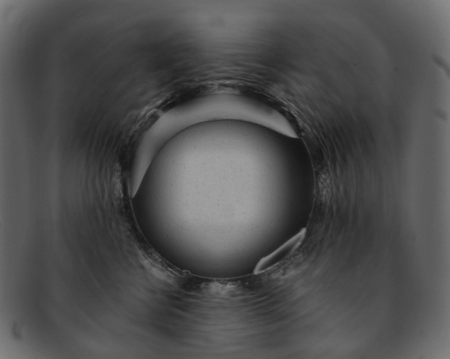 X0000091900570200709191240