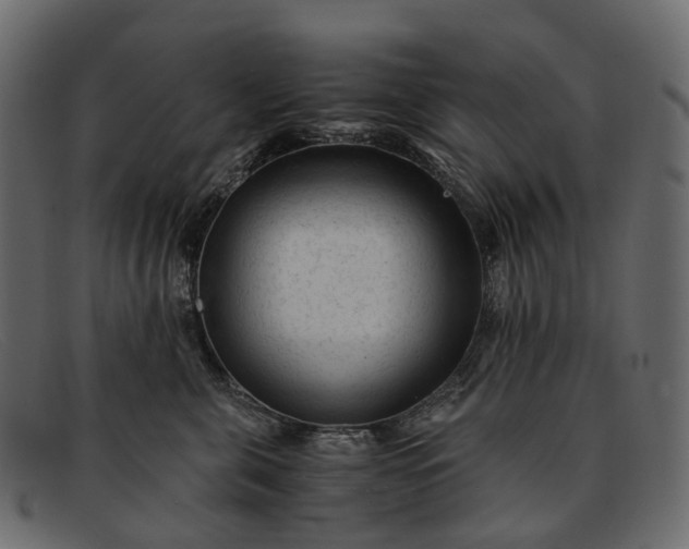 X0000091900571200709191240