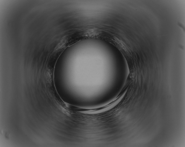 X0000091900572200709191240