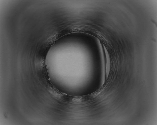 X0000091900574200709191240