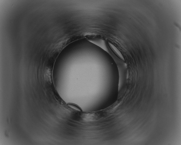 X0000091900575200709191240