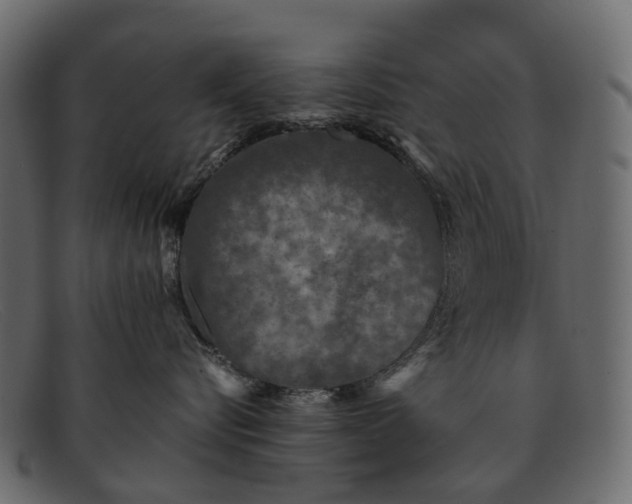 X0000091900576200709191240