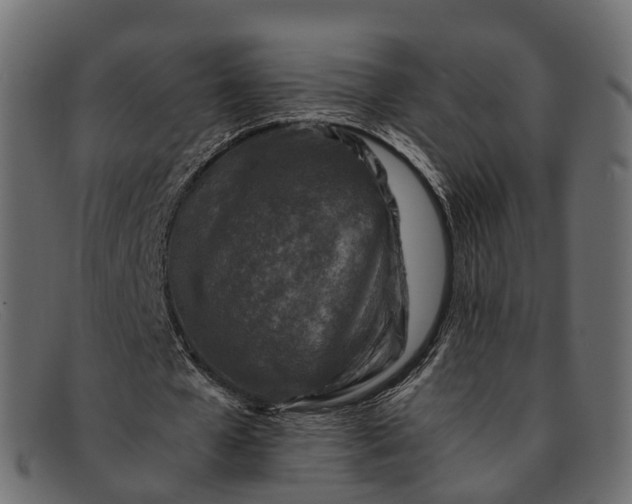 X0000091900577200709191239