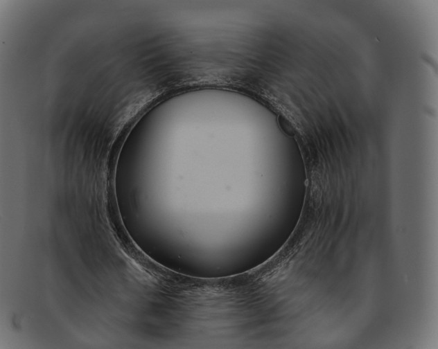 X0000091900578200709191239