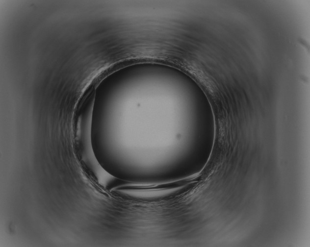 X0000091900580200709191239