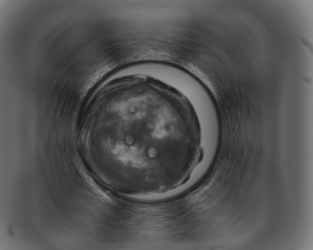 X0000091900581200709191239