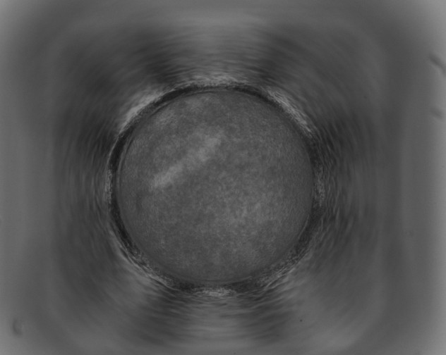 X0000091900583200709191239