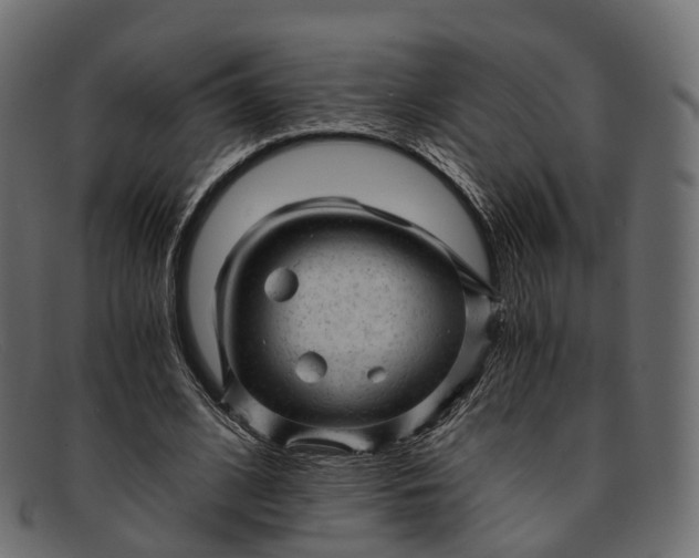 X0000091900584200709191239