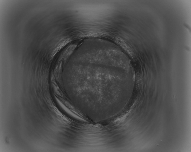 X0000091900585200709191239