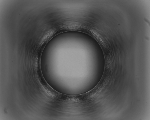 X0000091900586200709191239