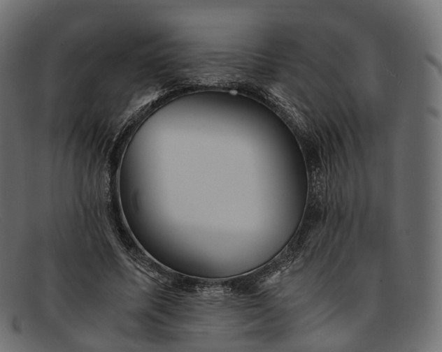 X0000091900587200709191239