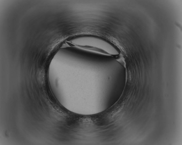 X0000091900588200709191239