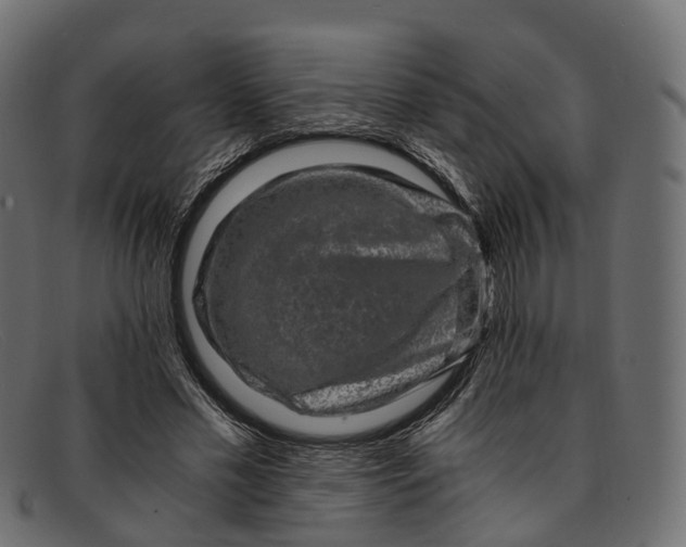 X0000091900589200709191239