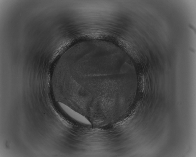 X0000091900590200709191239