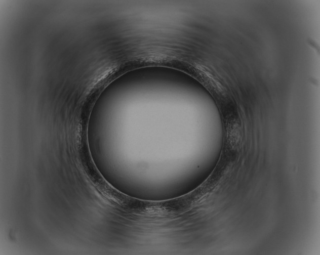 X0000091900591200709191239