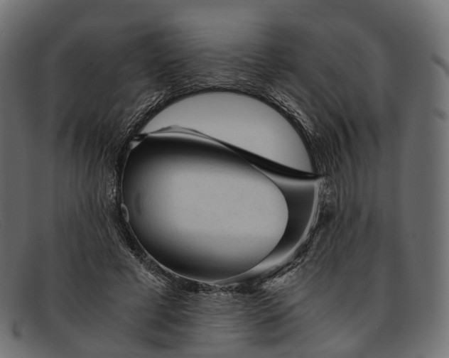 X0000091900593200709191239