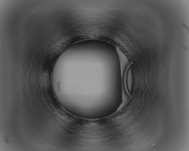 X0000091900594200709191239