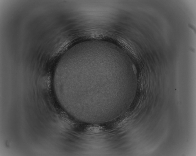 X0000091900595200709191239