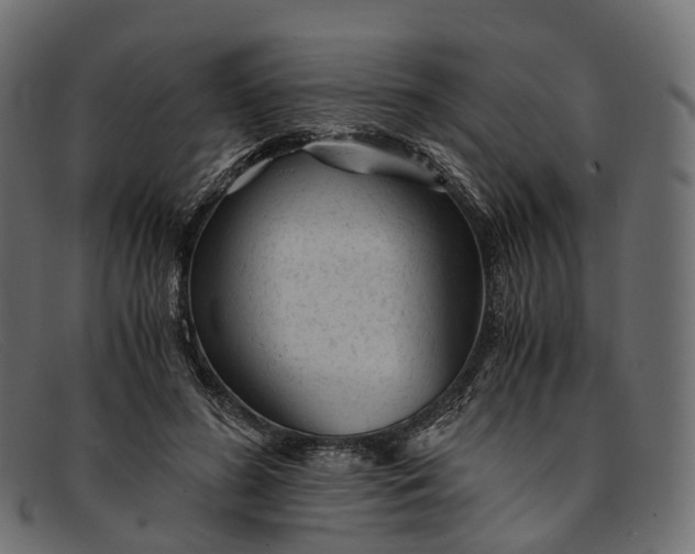 X0000091900596200709191239