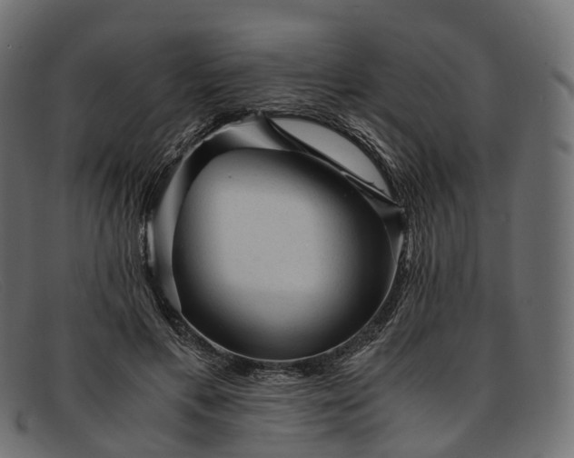 X0000091900597200709191239