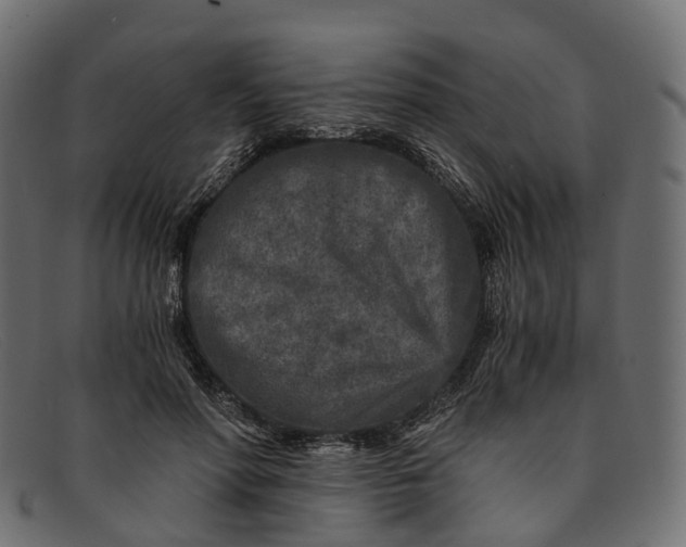 X0000091900598200709191239