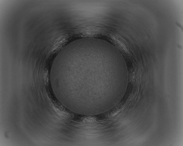 X0000091900599200709191239