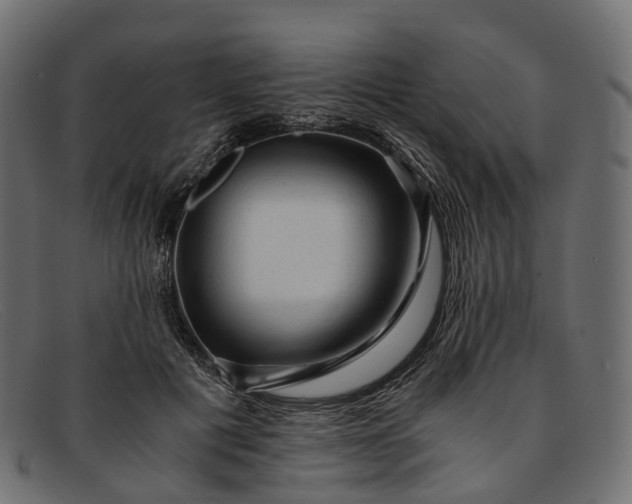 X0000091900601200709191239