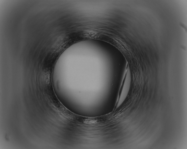 X0000091900602200709191239