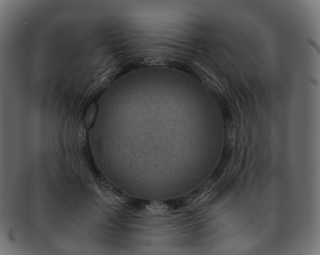 X0000091900603200709191239