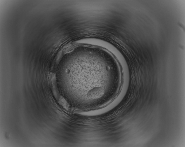 X0000091900604200709191239