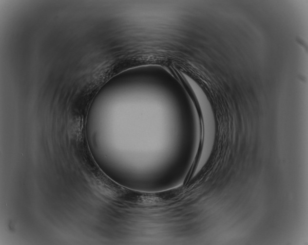 X0000091900605200709191239