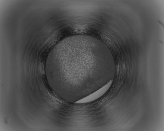 X0000091900606200709191239