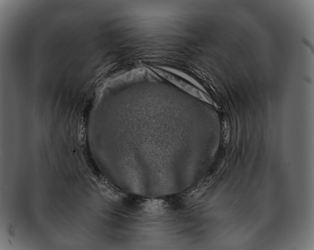 X0000091900609200709191239