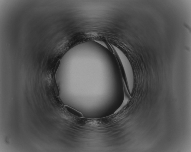 X0000091900611200709191239