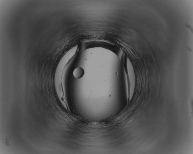 X0000091900613200709191239