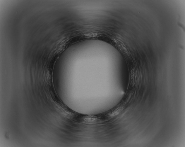 X0000091900614200709191239